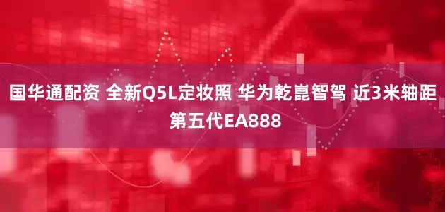 国华通配资 全新Q5L定妆照 华为乾崑智驾 近3米轴距 第五代EA888