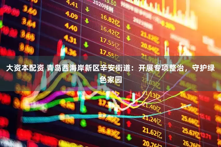 大资本配资 青岛西海岸新区辛安街道：开展专项整治，守护绿色家园