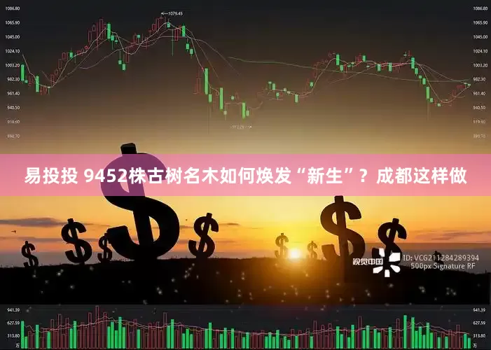 易投投 9452株古树名木如何焕发“新生”？成都这样做