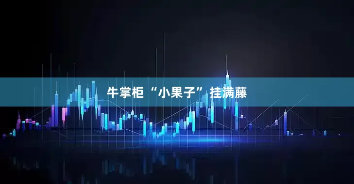 牛掌柜 “小果子” 挂满藤