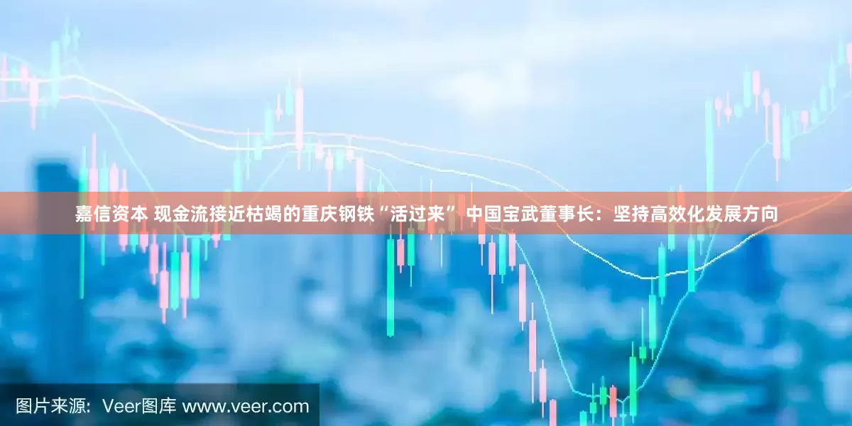嘉信资本 现金流接近枯竭的重庆钢铁“活过来” 中国宝武董事长：坚持高效化发展方向