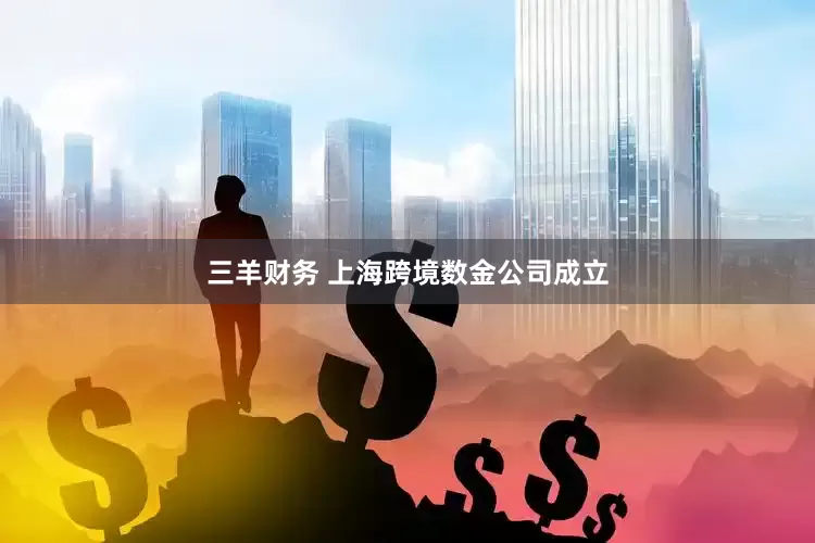 三羊财务 上海跨境数金公司成立