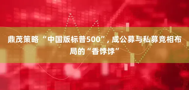 鼎茂策略 “中国版标普500”, 成公募与私募竞相布局的“香饽饽”